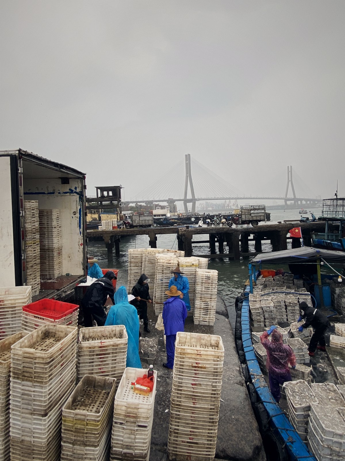 十几公里外的白马井渔港，远处是洋浦大桥——古老盐田身边的现代世界（实拍）